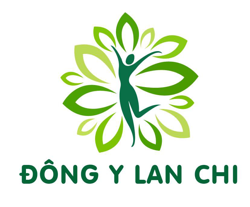 dongylanchi.net